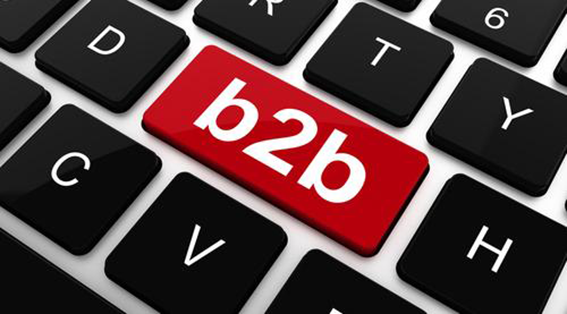 <b>B2B企业2020年度营销规划</b>