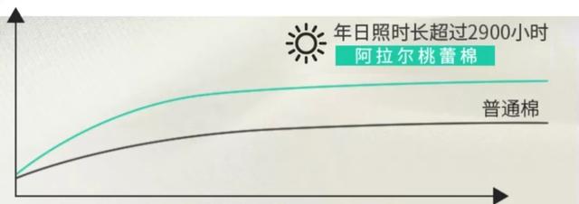 优衣库迪卡侬拜拜了,中国9年造出国棉641,品质领先日本T恤