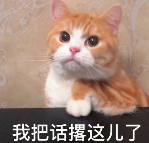 iPhone也有广告了?真和安卓越来越像......