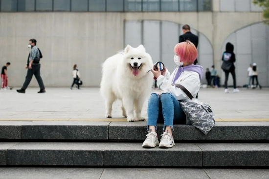 2021年4月6日，上海，在公园里遛狗的女性。/视觉中国