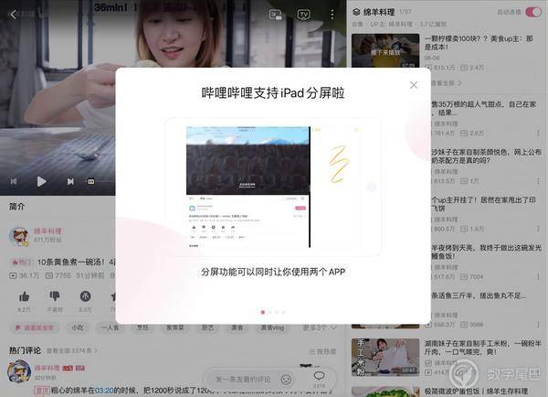 哔哩哔哩 iPad 版更新：支持分屏、竖屏模式