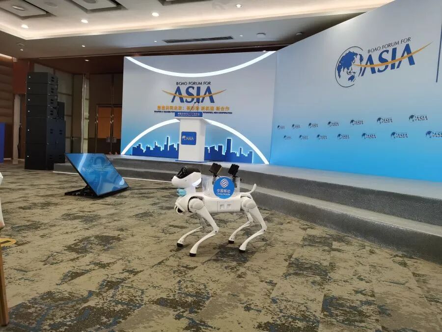 博鳌亚洲论坛年会现场，中国移动带来的四足机器狗。海南移动供图